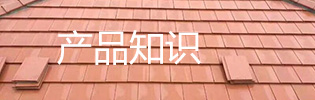 活動現場